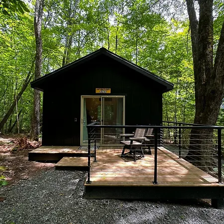 Can'T Bear To Leave 486 - A Perfect Pisgah Retreat